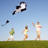 Giant Kite, Shyllin Wind Kite for Children, Killer Whale Kite,