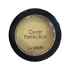 The Saem Cover Perfection Pot Concealer Green Beige / 더샘