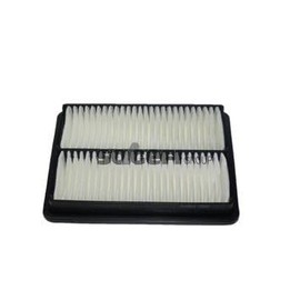 Fram CA5945 Air Filter