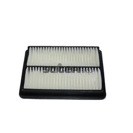 Fram CA5945 Air Filter