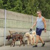 Correas retráctiles para perros, correas dobles para perros EECOO, 3