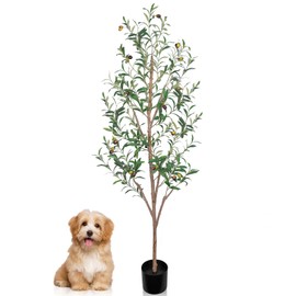 Artificial Olive Trees Indoor, 5 Ft Faux Olive Tree Plants, Fake Potted Olive Tree with Natural Wood Trunk, Lifelike Leaves & Fruits for Modern Home Office Living Room Floor Decor Indoor