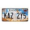Panguru 2 Pieces Prop License Plates from Supernatural, Metal Stamped