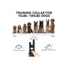 Dogcare Dog Care WELL-D TC01 Dog Training E-Collar With Remote