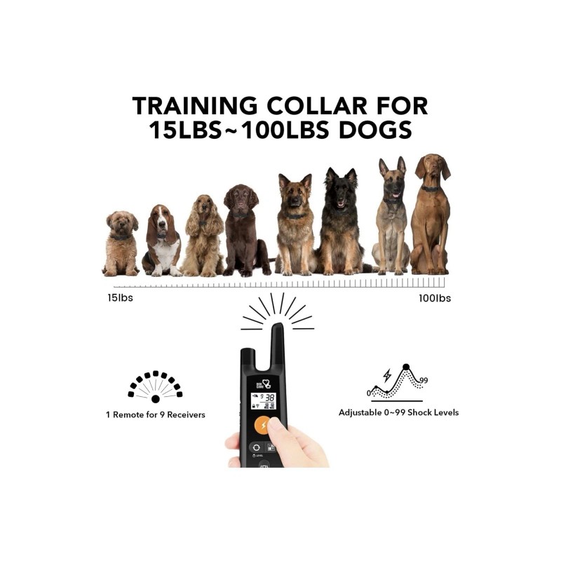 Dogcare Dog Care WELL-D TC01 Dog Training E-Collar With Remote
