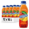 Snapple Mango Madness Flavored Juice Drink, 16 fl oz recycled