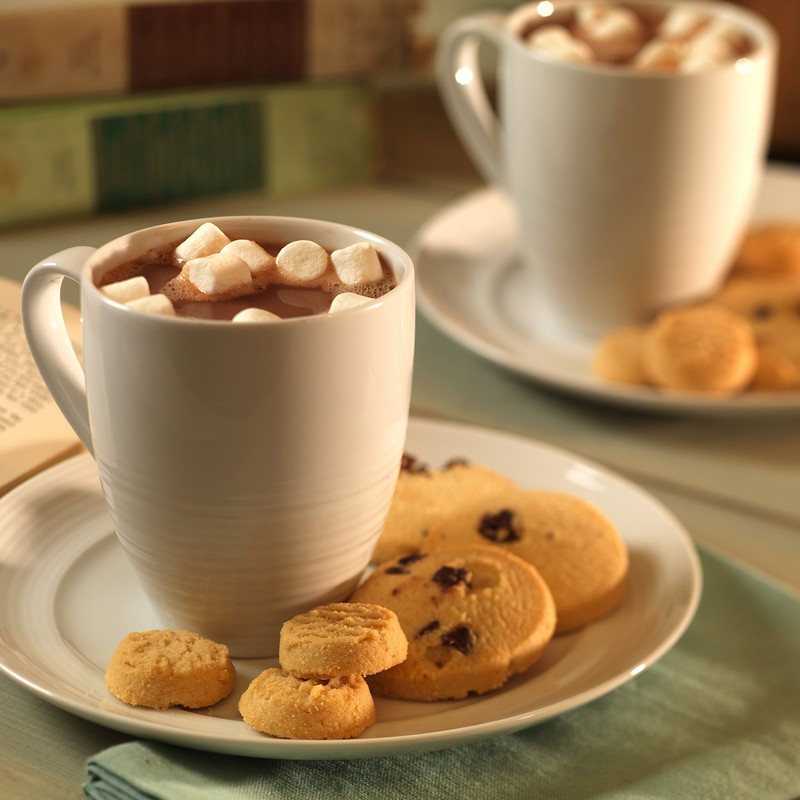 Augason Farms Morning Moo's Chocolate Low Fat Milk Alternative Can,