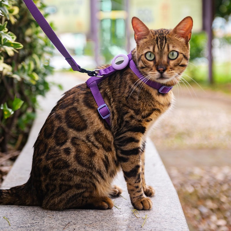 VKPETFR Cat Harness and Leash Set with Airtag Holder for