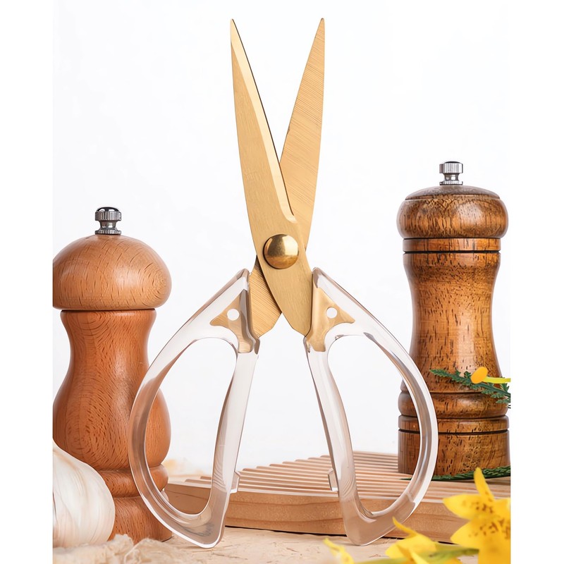Jasni Transparent Handle Stainless Steel Sharp Powerful Kitchen Scissors Multi-Purpose