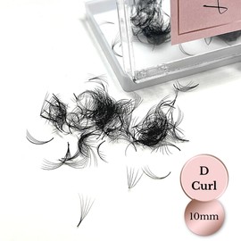 Linny Lashes 5D Eyelash Fans, Prefabricated Fans, Extending Finished Eyelashes, 500 Ready-to-Use Fans, Handmade Pre-Fanned C Curl, D Curl Eyelash Extensions, Stunning (10 mm)