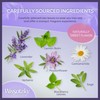 Wissotzky Herbal Wellness Sleep Tea, 20 Teabags | Soothing &