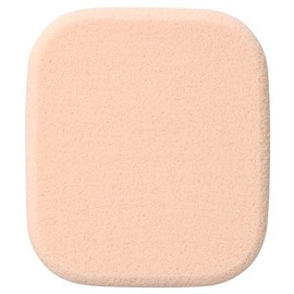 ACSEINE Foundation PV [Sponge]