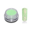 Spring Colour Glitter Powder Set Glitter Nail Design Nail Art