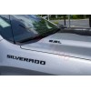 OEM NEW Hood Body Style 6.6L Emblem Badge Gloss Black