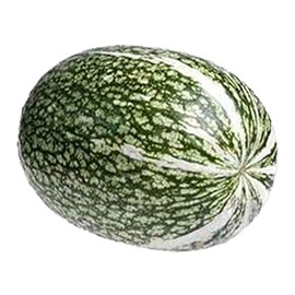Squash Seeds, Winter - Shark Fin Squash Gom Bo - 4 Oz ~500 Seeds - Non-GMO, Heirloom - Asian Garden Vegetable