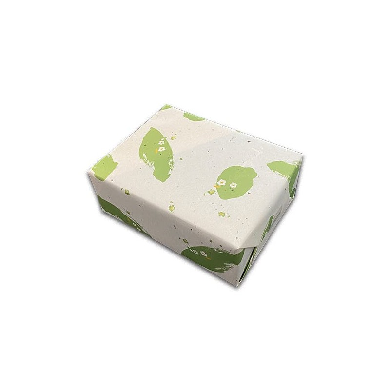 OMTS-20 New Tea Gift Souvenir 2024 New Green Tea Sencha