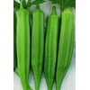 Okra Clemson Spineless Great Heirloom Vegetable by Seed Kingdom (1/4