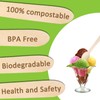 Disposable Wooden Spoons - 100 Pack Eco Friendly Biodegradable Wooden
