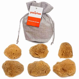 Intim-Mentruations-Meeresschwämme, 100% natürliche, ungebleichte Meeresschwämme als natürliche Tampon-Alternative – wiederverwendbar, langlebig. 6 Stück (3 Stück * 3–5 cm und 3 Stück * 5–7 cm)