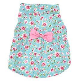 The Worthy Dog Watercolor Floral Dress