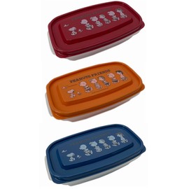 Snoopy Food Keeper, Slim, Set of 3 Colors, Peanuts Friends, 16.9 fl oz (560 ml), Made in Japan