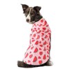 Mile High Life | Dog Raincoat | Adjustable Water Proof