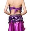 Belly Dance Hip Scarf Belt Women's Belly Dance Costume Hip