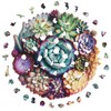 Wooden Puzzles,Succulent World Jigsaw Puzzles,Unique Shaped Wooden Puzzle for Adults