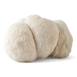 New: A brand-new, unused, unopened, undamaged item (including handmade items). See the seller's listing for full details.  ORGANIC - Lions Mane Gourmet Mushroom -  Liquid Culture