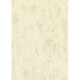 Brunnen Multifunctional Universal A4 Paper 160 gsm Chamois / Marbled