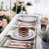 FOCUSLINE 175 Count Rose Gold Dinnerware Set for 25 Guests