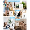 Bear Humidifiers for Bedroom, 2.5L Cool Mist Humidifiers and Oil