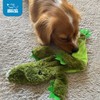 Best Pet Supplies 2-in-1 Stuffless Squeaky Dog Toys with Soft,
