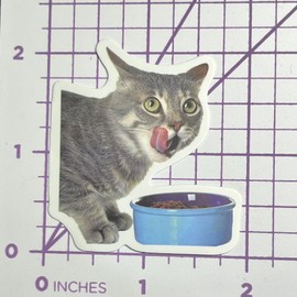 Oops Caught Tasting What’s Cooking  Vinyl Sticker Decal Sticker Bomb Humor Funny