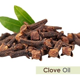 Clove Oil (Syzygium aromaticum) 100% Pure & Natural Undiluted Uncut Essential Premium Aromatherapy Oil - 15ml