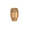 Ribiland - Check Valve Brass 1 1/4 Output Male/Female -