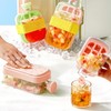 Ice Cube Bottle, 2 in 1 Iced Tray Cup, with