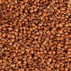 Black tartary buckwheat tea 10.58oz whole germ fragrant strong five