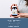 Eclectic Herb - Lymph & Blood Cleanse | Lymphatic &