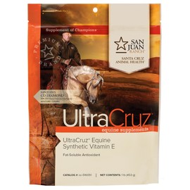 UltraCruz - sc-516051 Equine Synthetic Vitamin E Supplement for Horses, 1 lb, Powder (28 Day Supply)