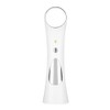 USB Micro current Ultrasonic Ion Importing Facial Pores Cleansing Instrument