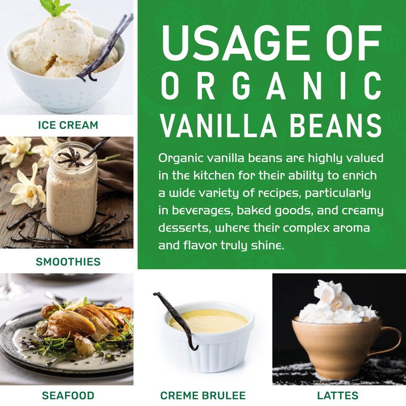 Jiva Organic Vanilla Beans 25 Count Large – Premium Grade