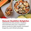 Dr. Harvey's Perfect Parrot Blend - Natural Food for Large