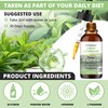 Baanaas Liposomal Liquid L-Theanine Drops | All Natural L-Theanine |
