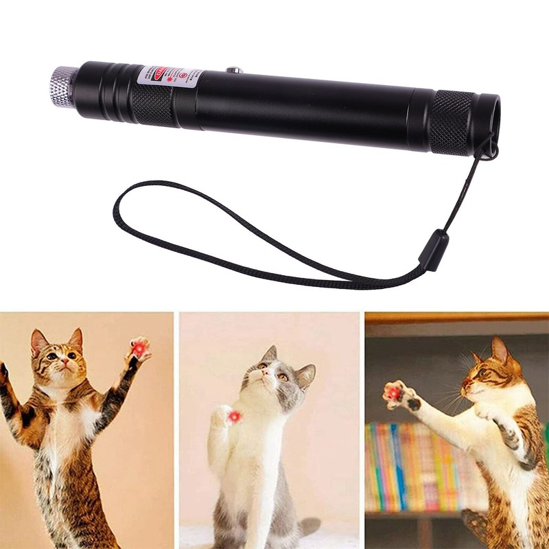 Laser Pointer Cat Toy Aluminum Alloy Long Range Interactive Portable