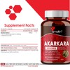 Amalth Akarkara Anacyclus Pyrethrum Extract Supplements for Naturally Supports Your