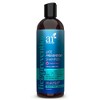Artnaturals Lice Prevention Shampoo (16 Fl Oz / 473ml) - with Rosemary & Tea Tree - Shield for Adults & Kids - Daily Use - Sulfate & Paraben Free - All Hair Types