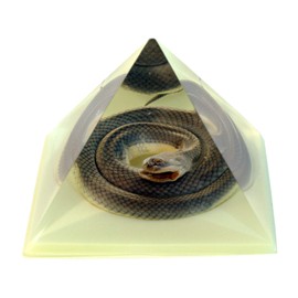 REALBUG Pyramid-Snake 3 inches