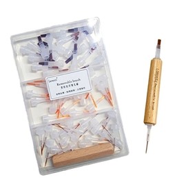 Nail art dual polish exclusive brush, built-in brush set of 60 pieces - WFHTQXX / 네일아트 듀얼 폴리쉬전용 브러쉬 내장솔대 60개 세트-WFHTQXX