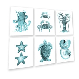 Gnosis Picture Archive Coastal Decor Turquoise Wall Art Set of 6 Unframed Prints Sea Turtle Seashells Starfish Octopus